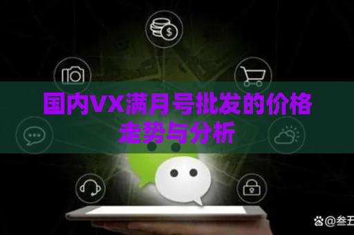 国内VX满月号批发的价格走势与分析