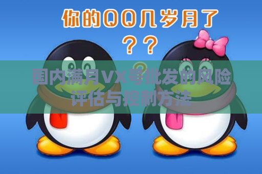 国内满月VX号批发的风险评估与控制方法