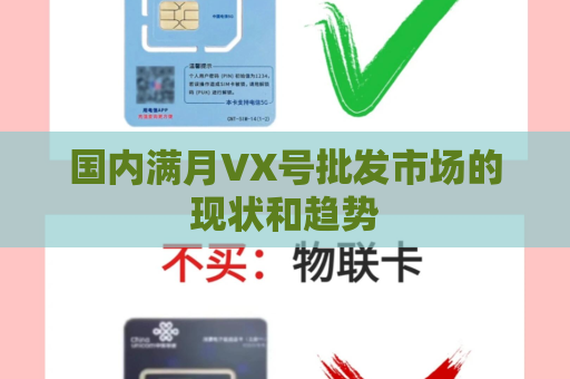 国内满月VX号批发市场的现状和趋势