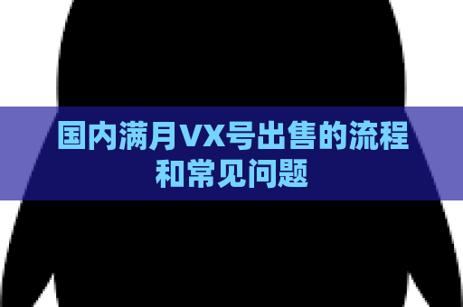 国内满月VX号出售的流程和常见问题