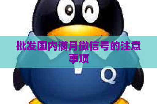 批发国内满月微信号的注意事项
